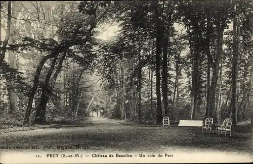 Ak Pecy Seine et Marne, Chateau de Beaulieu, Parc