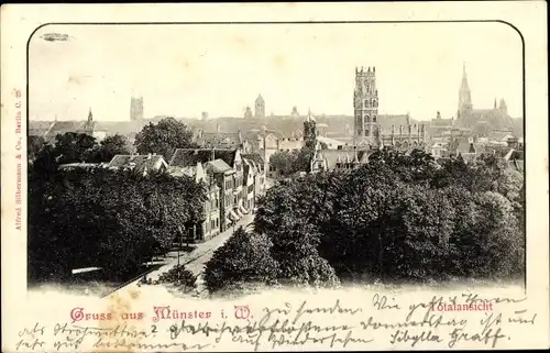 Ak Münster in Westfalen, Gesamtansicht