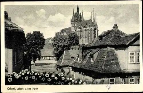 Ak Erfurt in Thüringen, Blick zum Dom