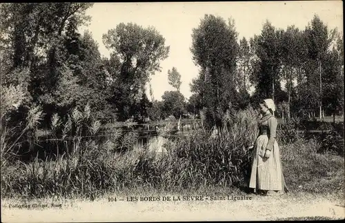 Ak Saint Liguaire Deux Sevres, Bords de la Sevre