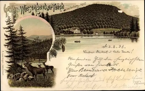 Litho Bad Lauterberg im Harz, Wiesenbeeker Teich, Hirsche