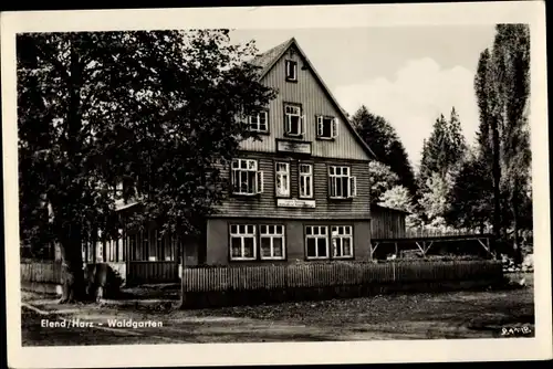 Ak Elend Oberharz am Brocken, Waldgarten