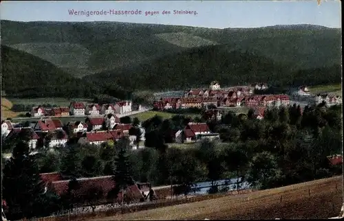 Ak Hasserode Wernigerode Sachsen Anhalt, Blick gegen den Steinberg, Ort