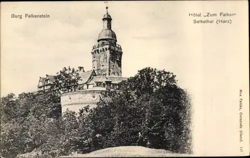 Ak Falkenstein Harz Sachsen, Burg, Hotel Zum Falken, Selkethal