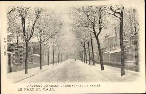 Ak Saint Maur des Fossés Val de Marne, Parc, L'Avenue du Grand Chêne, Effet de neige