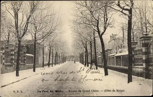 Ak Parc St. Maur Val-de-Marne, Avenue du Grand Chêne, Effet de neige