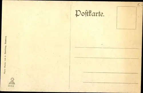 Ak Flensburg, Panorama