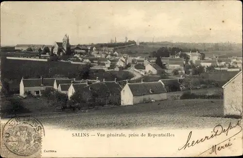 Ak Salins Seine et Marne, Vue générale prise de Repentailles