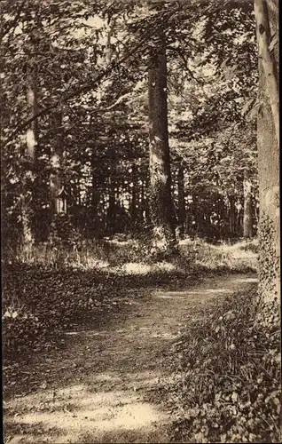 Ak Grandbourg Essonne, Vue du parc