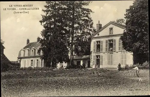 Ak Cour sur Loire Loir et Cher, Le Vivier