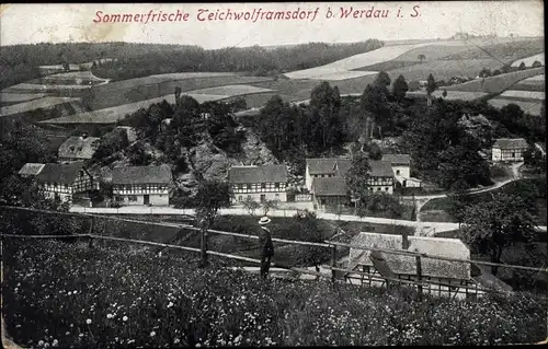 Ak Mohlsdorf Teichwolframsdorf in Thüringen, Sommerfrische, Teilansicht