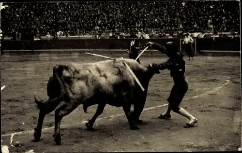 Foto Ak Stierkampf, Torero, Stier