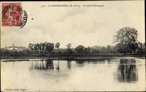 Ak La Possoniere Maine et Loire, Le Chêne Rossignol