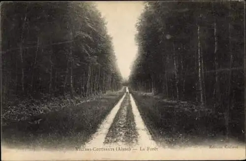 Ak Villers Cotterests Aisne, La Forêt