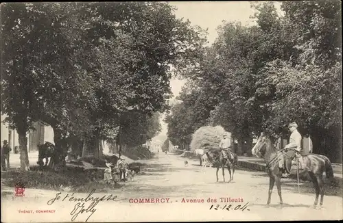 Ak Commercy Meuse, Avenue des Tilleuls