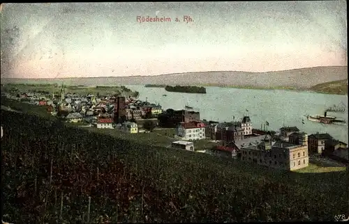 Ak Rüdesheim am Rhein in Hessen, Blick auf den Ort, Weinberg