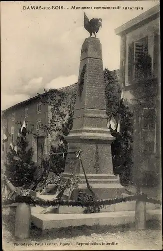 Ak Damas aux Bois Vosges, Monument commémoratif