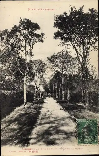 Ak Mirecourt Vosges, Promenade au Bois du Four, Vue vers la Ville