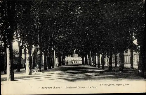 Ak Jargeau Loiret, Boulevard Carnot, Le Mail