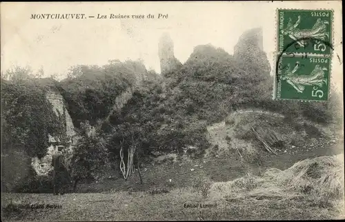 Ak Montchauvet Yvelines, Les Ruines vues du Pré