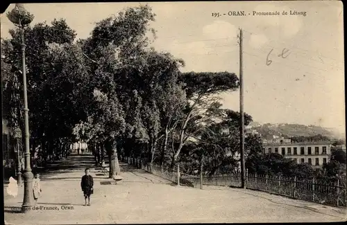 Ak Oran Algerien, Promenade de Létang