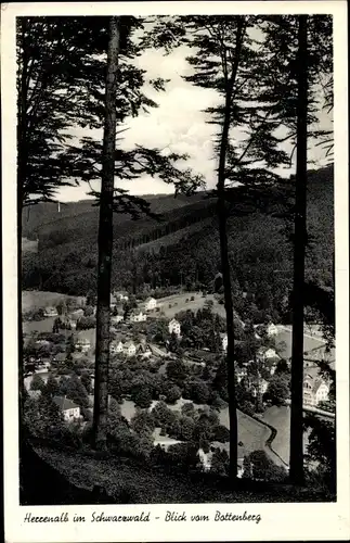 Ak Bad Herrenalb im Schwarzwald, Blick vom Bottenberg