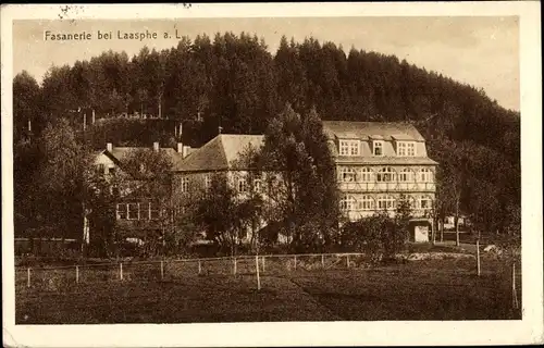 Ak Friedrichshütte Bad Laasphe im Kreis Siegen Wittgenstein, Hotel Fasanerie