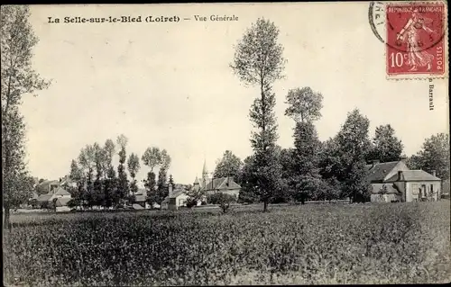 Ak La Selle sur le Bled Loiret, Vue générale