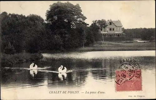 Ak Châlet de Poigny Yvelines, La pièce d'eau, Schwäne