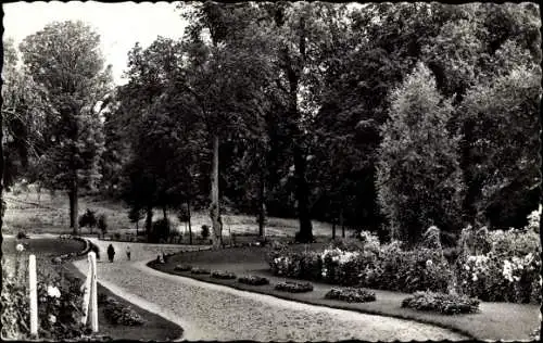 Ak Poissy Yvelines, L'Entrée du Parc