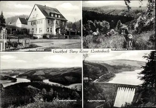 Ak Lantenbach Gummersbach, Gasthof Burg Zinne, Aggertalsperre, Genkeltalsperre, Waldpartie