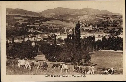 Ak Noirétable Loire, Vue générale