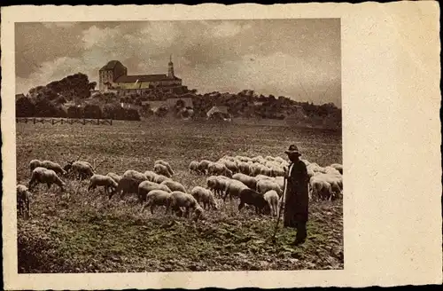 Ak Schafherde, Schäfer, Stadt im Hintergrund