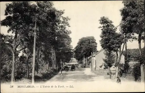 Ak Montargis Loiret, L'Entrée de la Forêt