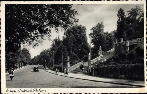 Ak Erfurt, Stadtpark, Aufgang