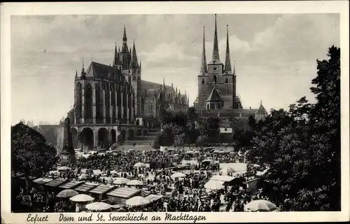 Ak Erfurt in Thüringen, Dom, Severikirche, Markttreiben