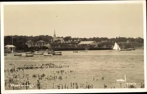 Ak Woodbridge East England, Panorama, swan