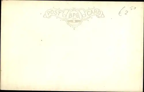 Ak Woodbridge East England, Panorama, swan