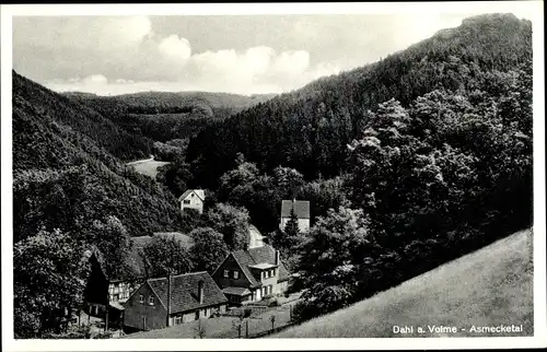 Ak Dahl Hagen in Westfalen Ruhrgebiet, Asmecketal, Häuser, Wald