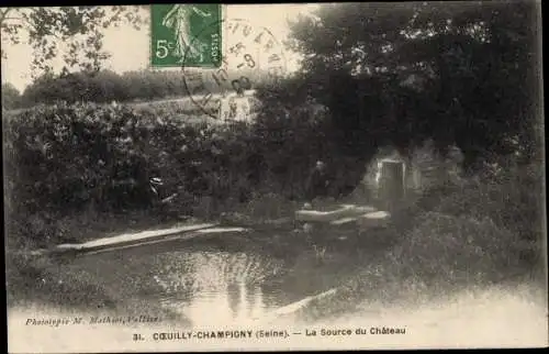 Ak Coeuilly Champigny sur Marne Val de Marne, La Source du Chateau