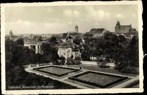 Ak Delitzsch Sachsen, Rosarium im Kurpark, Teilansicht