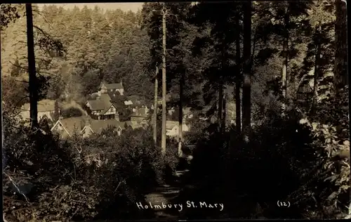 Foto Ak Holmbury St. Mary Surrrey England, total view