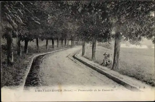 Ak L’Haÿ-les-Roses Val de Marne, Promenade de la Cossarde