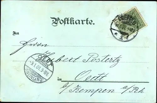 Litho Krefeld am Niederrhein, Rathaus, Rosen