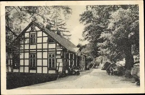 Ak Eldagsen Springe Niedersachsen, Holzmühle am Saupark, Inh. Ernst Daeves
