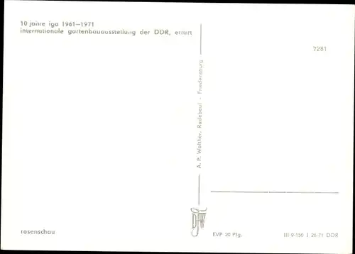 Ak Erfurt in Thüringen, 10 Jahre IGA 1961 bis 1971, Rosenschau