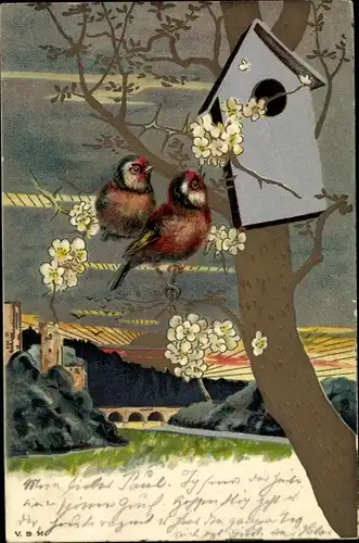 Litho Zwei Vögel auf einem Baum, Nistkasten