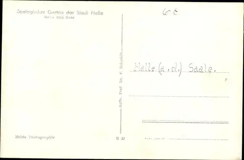 Ak Halle an der Saale, Zoologischer Garten, Babu und Suse, Schimpansenkinder