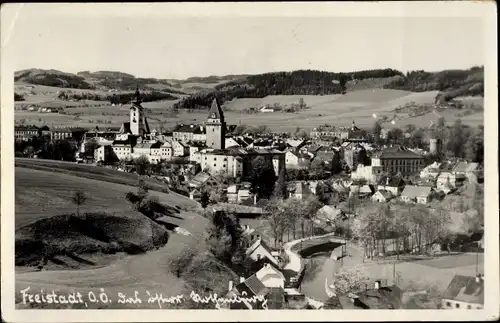 Ak Freistadt in Oberösterreich, Panorama, Kirche