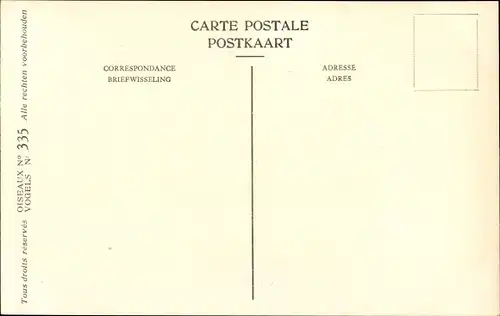 Künstler Ak Dupond, Hub., Siphia parva, Zwergschnäpper